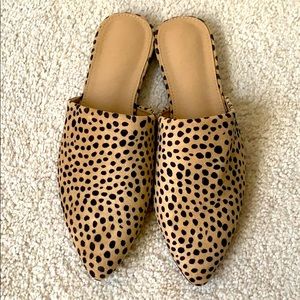 Leopard Print Flats - Never Worn